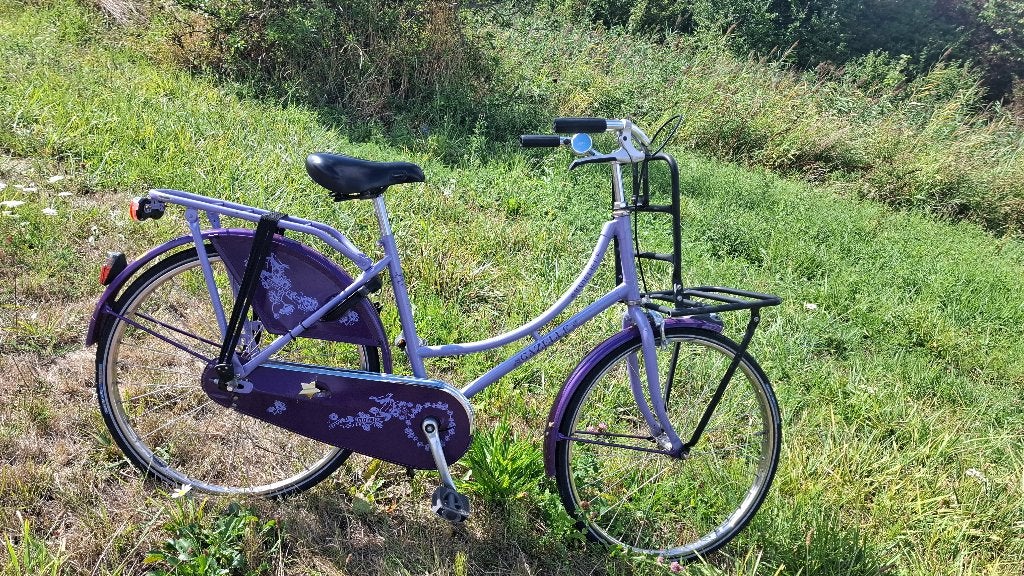 Gazelle transport bike purple with front carrier 24 inc, 51 tot 55 cm, Ophalen, Gebruikt, Gazelle