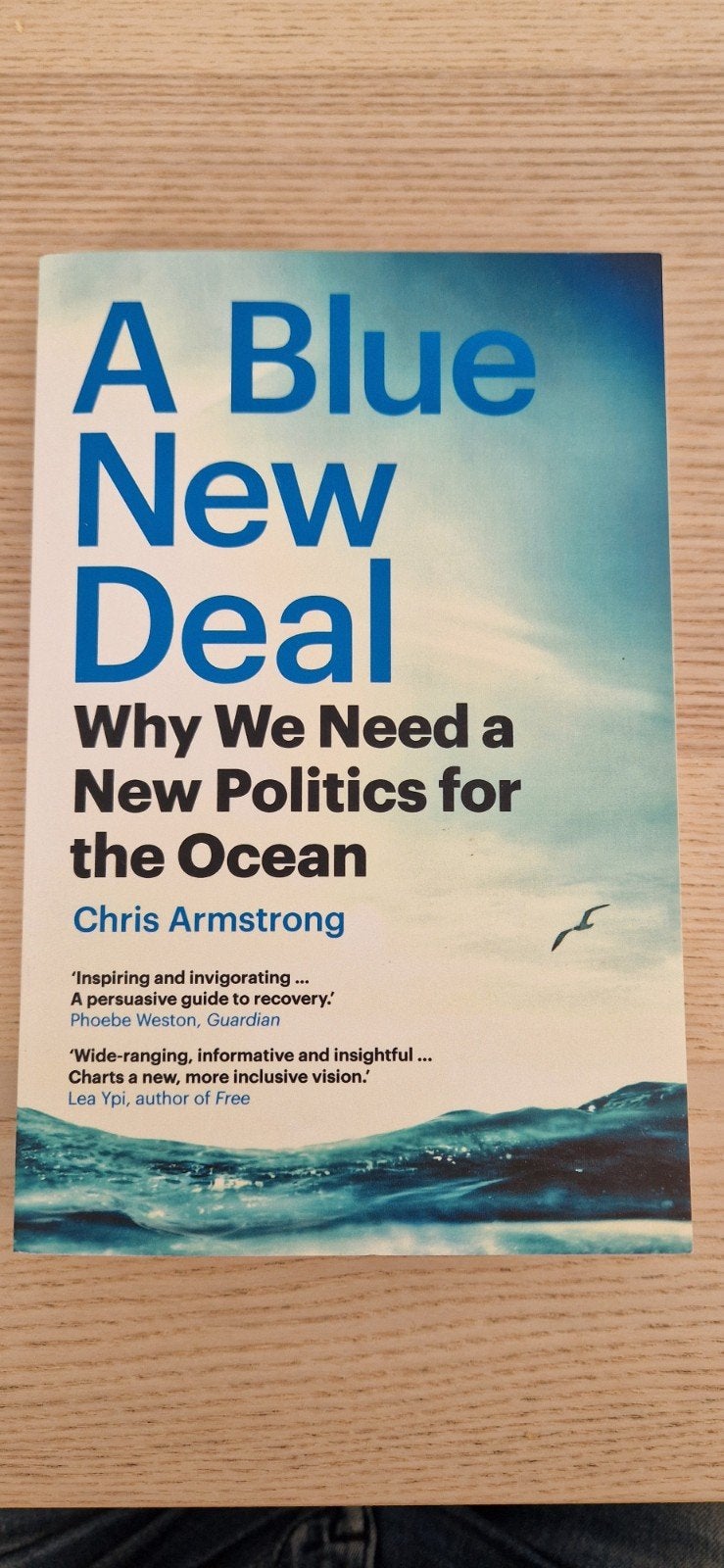 A Blue New Deal - Chris Armstrong, Ophalen of Verzenden, Zo goed als nieuw, Chris Armstrong, Sociale wetenschap