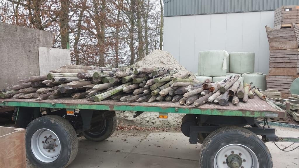 Houten weidepalen ongeveer 120 stuks, Dieren en Toebehoren, Stalling en Weidegang, Weidegang, Toebehoren