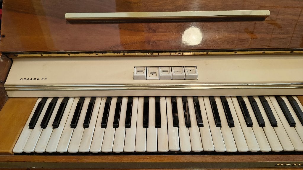 Hohner Organa 30 Harmonium elektrisch, Ophalen, Gebruikt, 1 klavier, Orgel