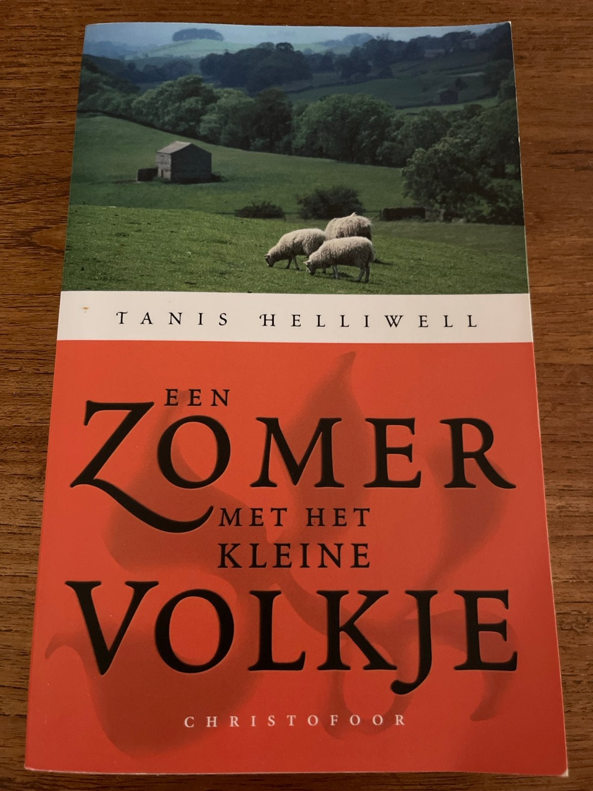 Een zomer met het Kleine Volkje, Ophalen of Verzenden, Zo goed als nieuw, T. Helliwell, Spiritualiteit algemeen