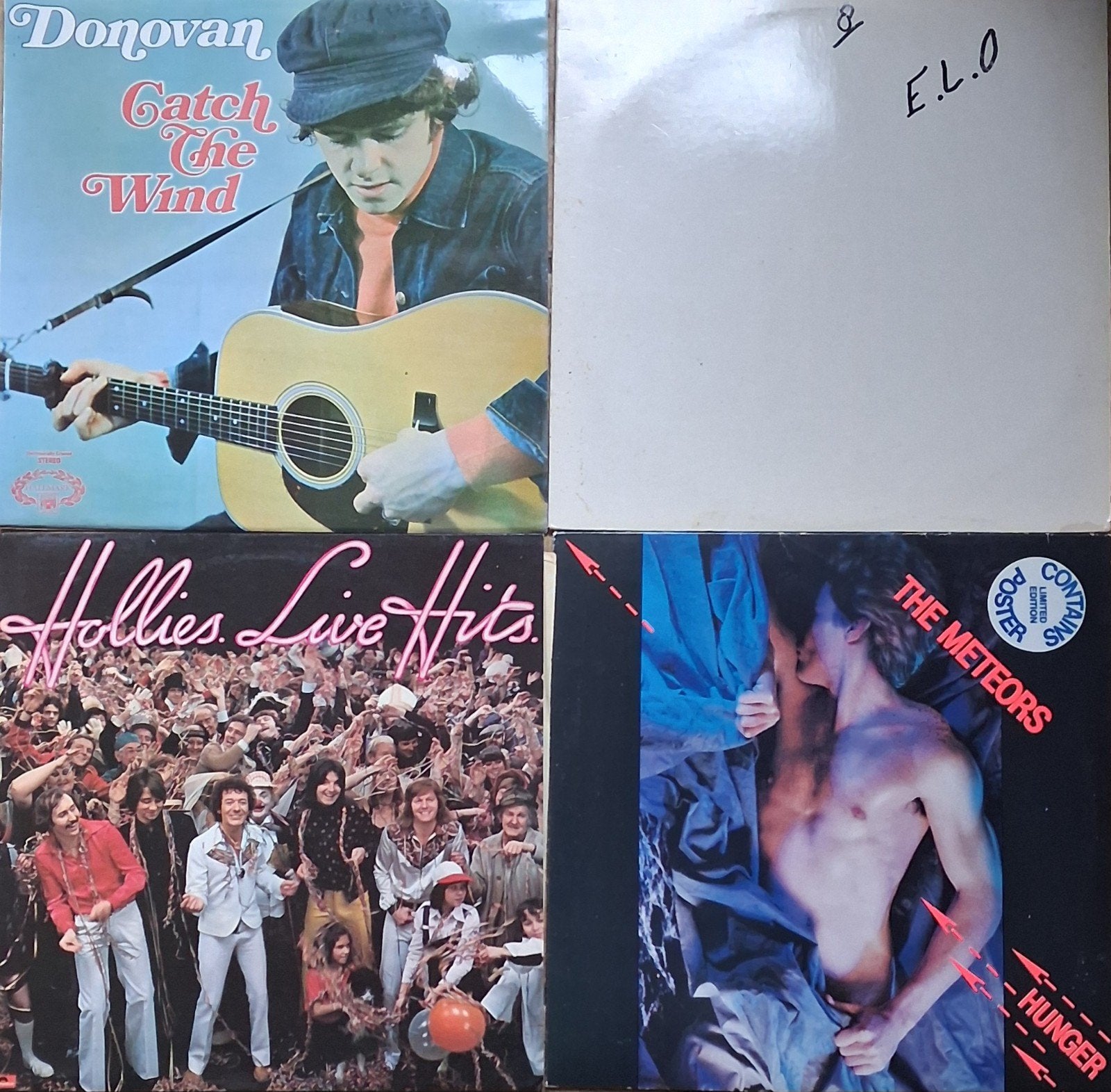 DONOVAN, ELO, HOLLIES, THE METEORS. 4 Vinyl lp's., Ophalen, LP, Pop, Fotohoes