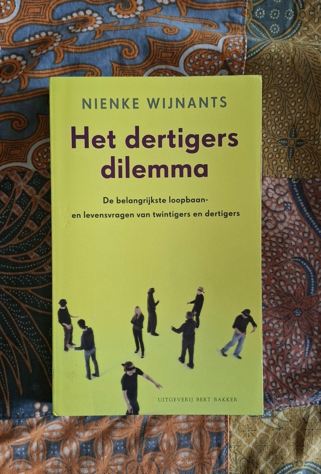 Nienke Wijnants - Het dertigersdilemma, Ophalen of Verzenden, Ontwikkelingspsychologie, Nienke Wijnants, Zo goed als nieuw