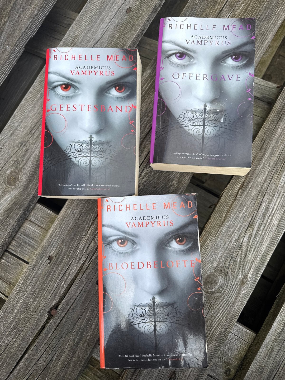 Richelle Mead - Academicus Vampyrus serie (paperback), Boeken, Ophalen, Gelezen