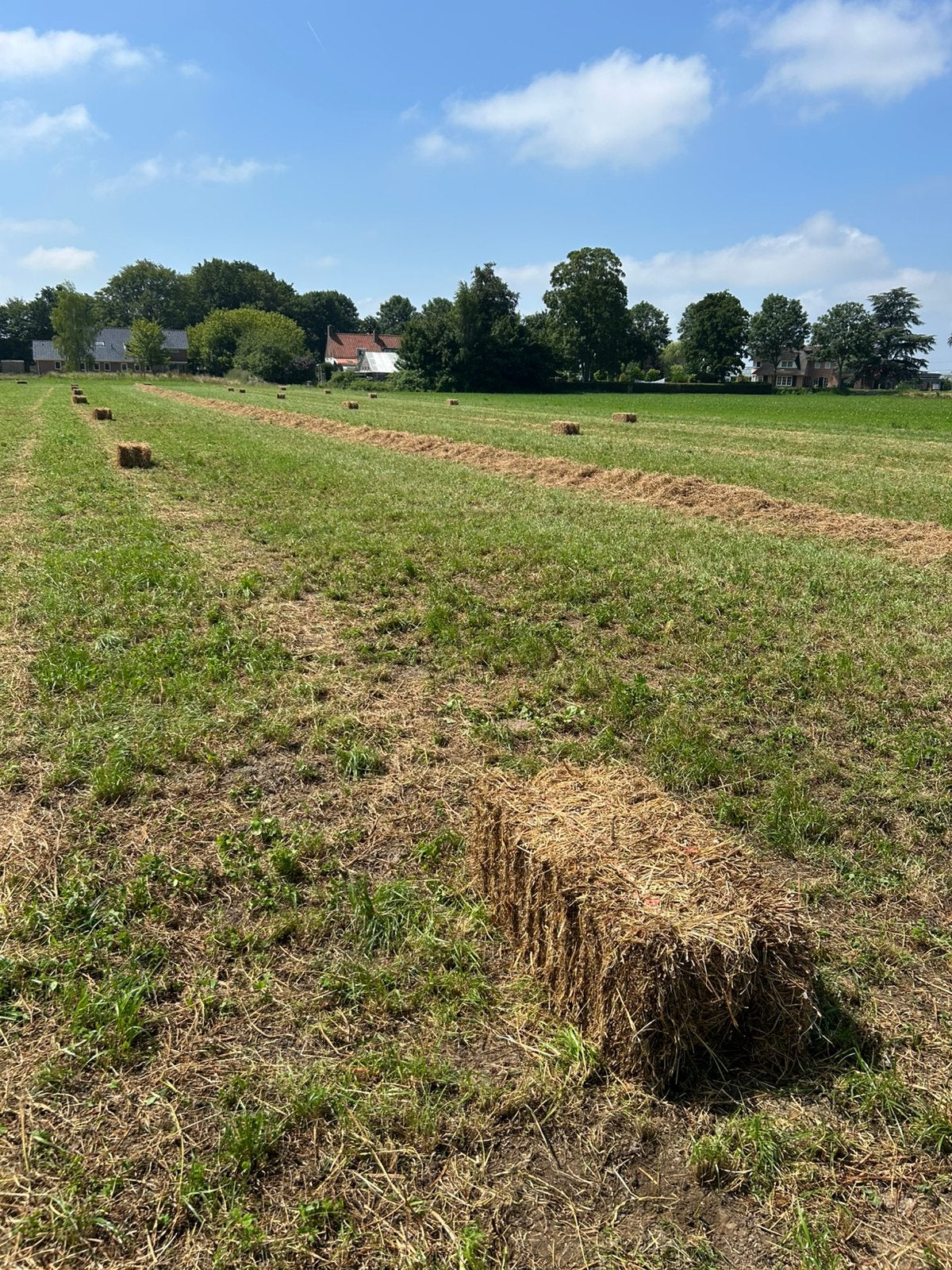 Hooi pakjes