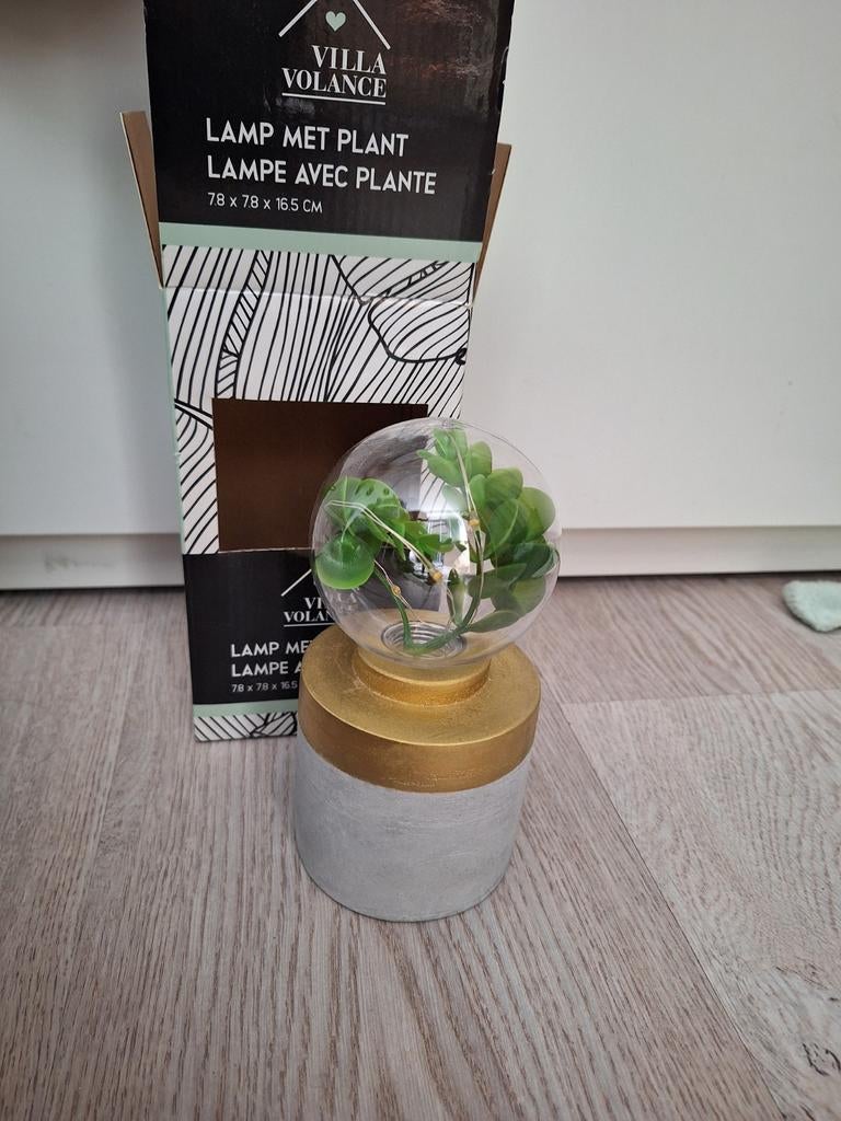 Nieuw, Villa Volance sfeerlichtje betonnen voet & terrarium, Ophalen of Verzenden, Nieuw