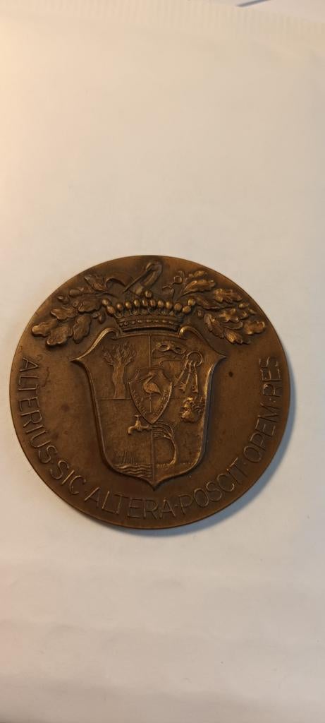 Historische Bronzen Medaille 1805-1955, Postzegels en Munten, Penningen en Medailles, Ophalen of Verzenden, Brons
