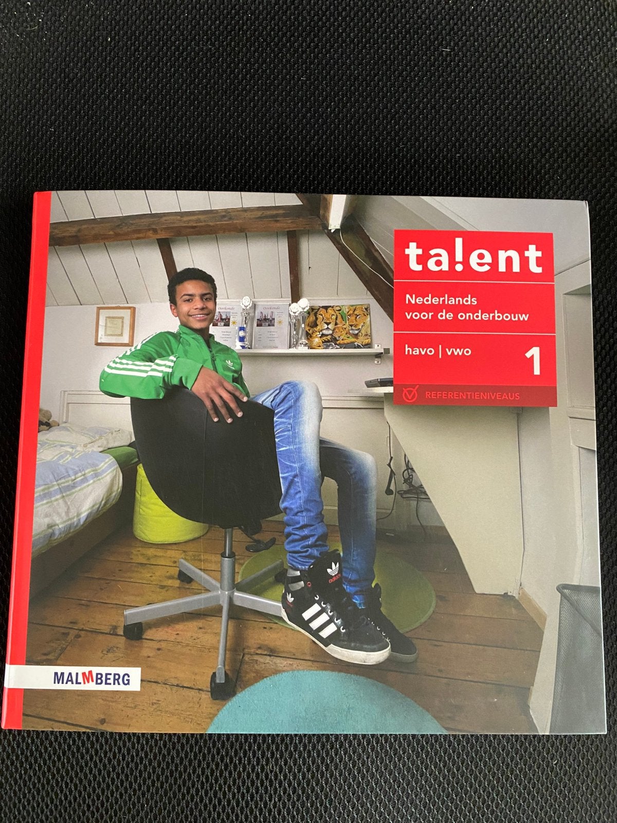 Talent Nederlands voor de onderbouw 1 havo / vwo, Ophalen of Verzenden, Nieuw, Overige niveaus, Nederlands