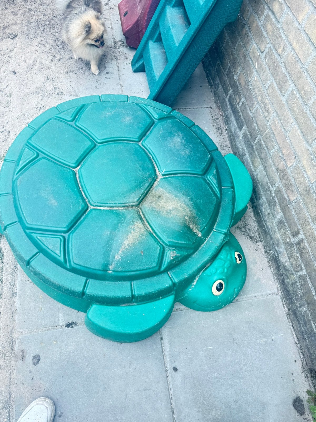 Zandbak schildpad, Ophalen, Zo goed als nieuw