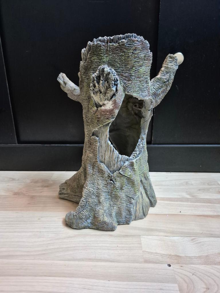 Boomstam ornament., Ophalen
