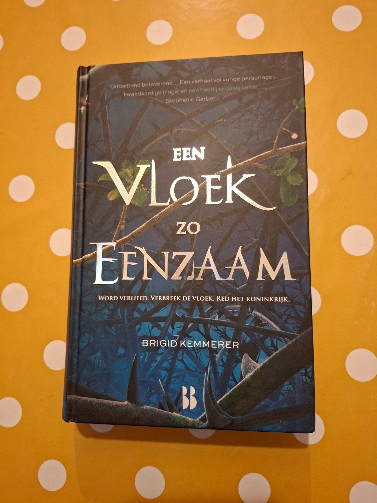 Brigid Kemmerer - Een vloek zo eenzaam, Ophalen, Zo goed als nieuw, Brigid Kemmerer