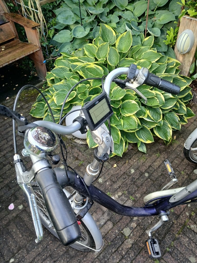 van Raam Midi driewiel fiets, Ophalen, Gebruikt, Schijfrem, Van Raam