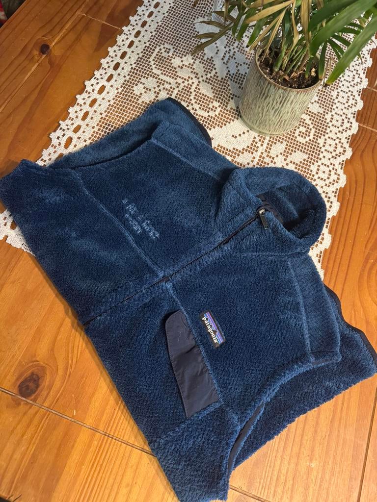 Patagonia Retro Pile Bodywarmer, Ophalen of Verzenden, Zo goed als nieuw, Blauw, Trui of Vest