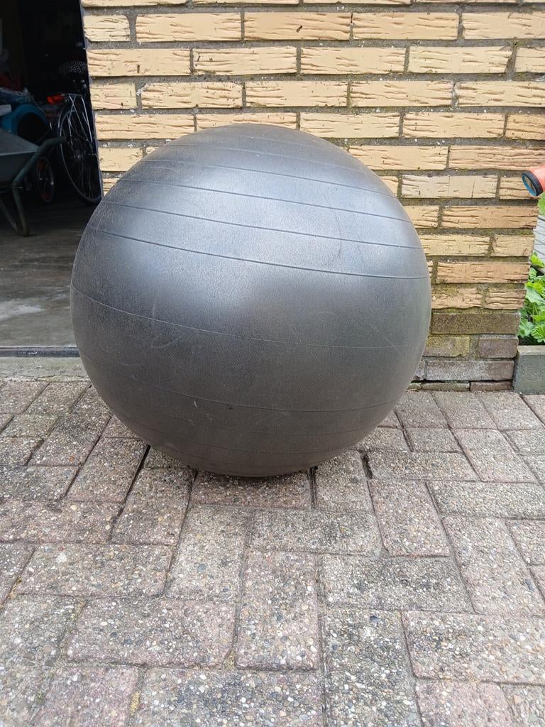 Fitness bal, Ophalen of Verzenden, Overig