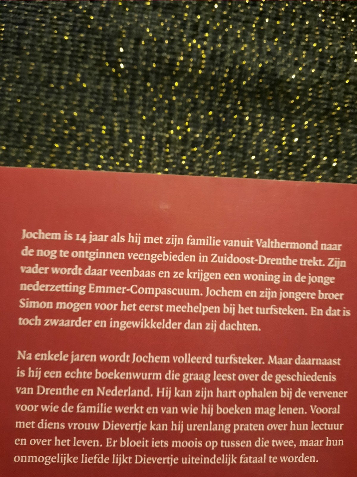 Door Drentse Venen - Cor Hoppenbrouwers (paperback), Boeken, Ophalen of Verzenden, Gelezen, Cor Hoppenbrouwers