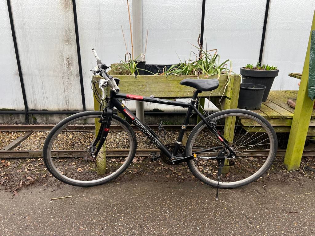 Sportfiets focus, 28 inch, Gebruikt, 49 tot 53 cm, Meer dan 20 versnellingen