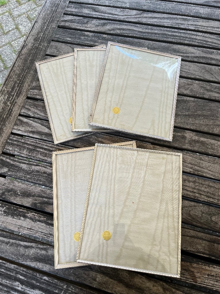 Zilverkleurige, Jyden fotolijsten | bolglas | 5 stuks, ;, Gebruikt, Zilver, Metaal