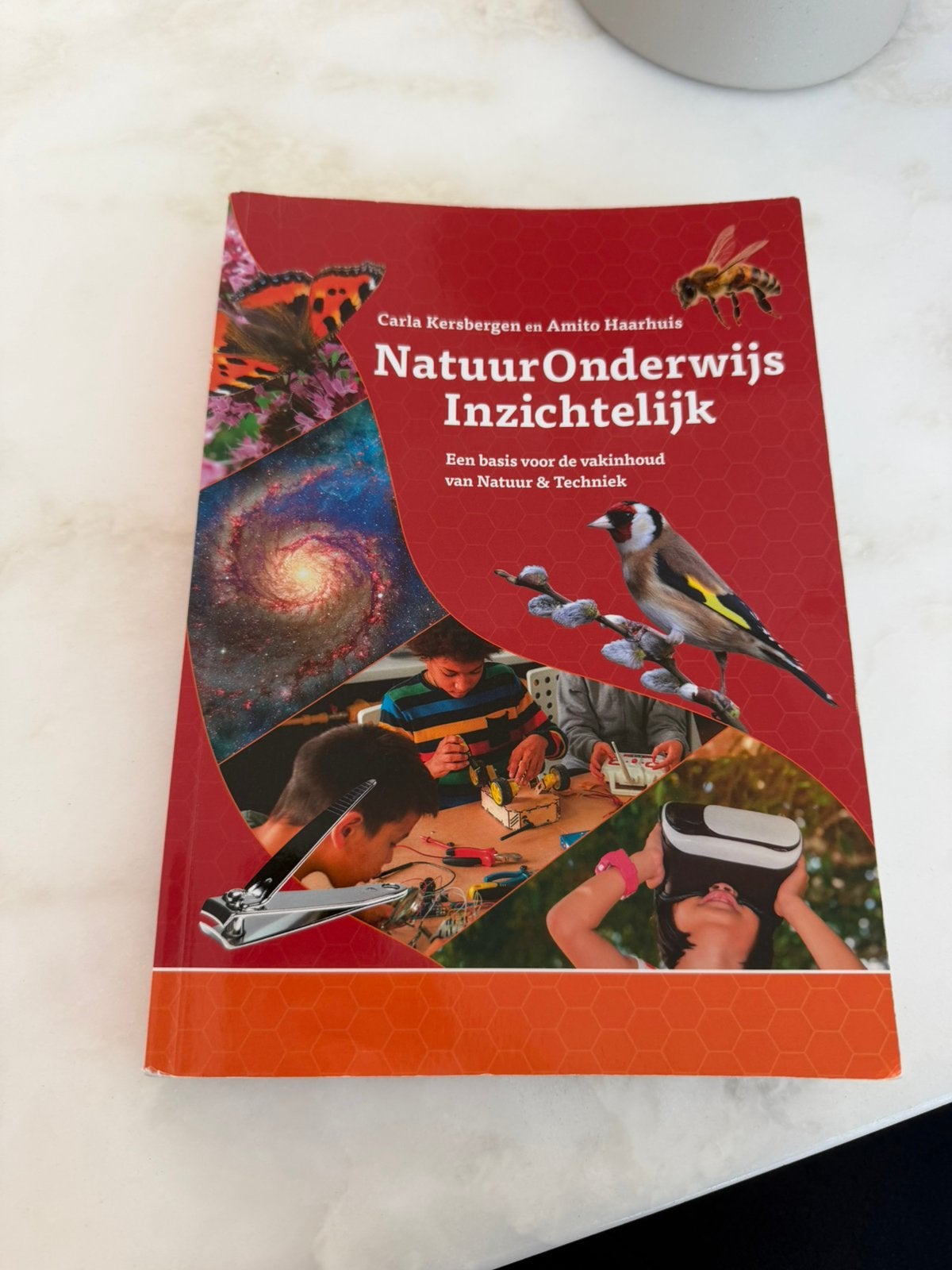 PABO schoolboeken  MOETEN NU WEG, Ophalen of Verzenden, Zo goed als nieuw, Overige niveaus, Overige vakken