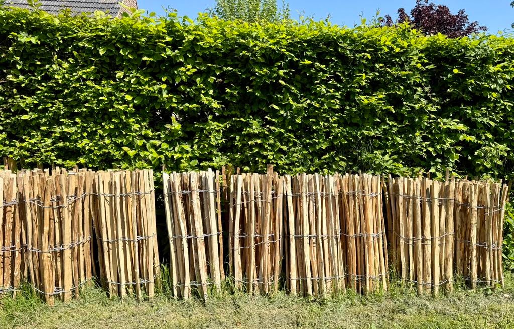 Schapenhek hazelaar op rol 90 x 500 cm (19 stuks), Ophalen, Nieuw, Hout, 3 tot 6 meter