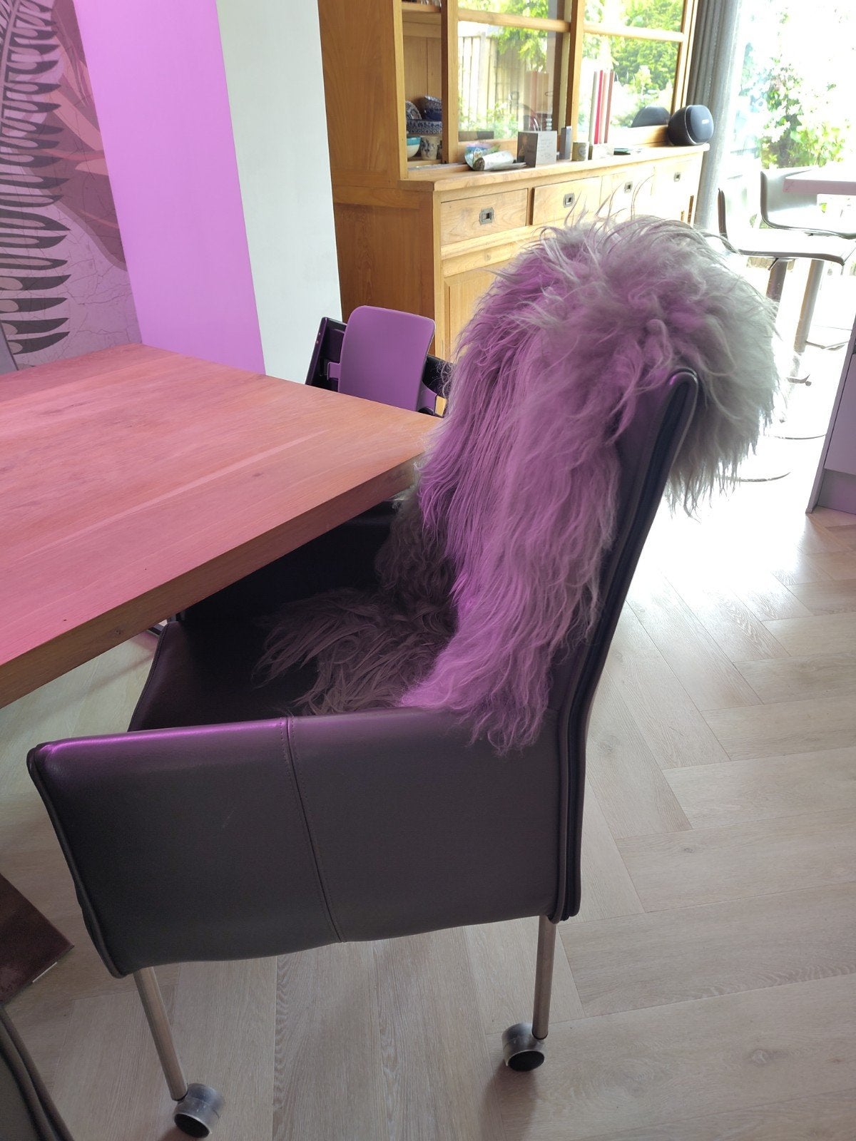 Lederen eetkamerstoelen te koop, Ophalen, Grijs, Vijf, Zes of meer stoelen