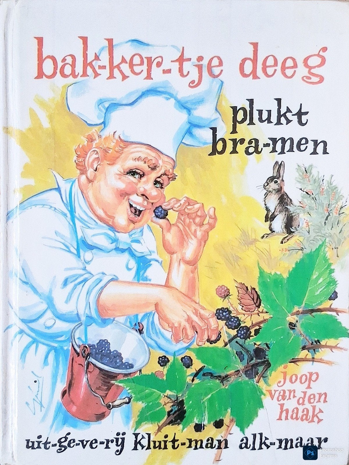 Bak-ker-tje Deeg Plukt Bra-men, Gelezen, Fictie algemeen, Ophalen of Verzenden, Joop Van Den Haak.