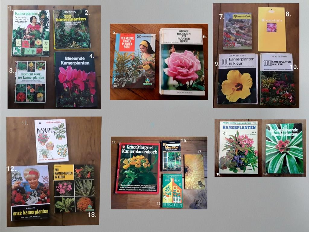 Boeken kamerplanten ( uitzoeken of alle 19 in 1 koop), Boeken, Wonen en Tuinieren, Gelezen, Kamerplanten, Ophalen of Verzenden
