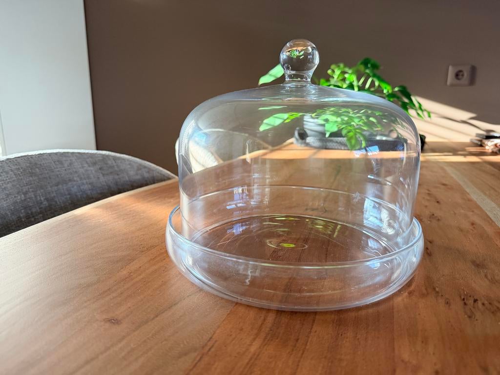Glazen stolp met schaal - Perfect voor gebak of decoratie, Ophalen, Zo goed als nieuw, Overige merken, Glas