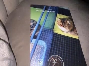 Verkoopactiviteiten LOI Studieboek, Boeken, Studieboeken en Cursussen, Zo goed als nieuw, Gamma, LOI, HBO