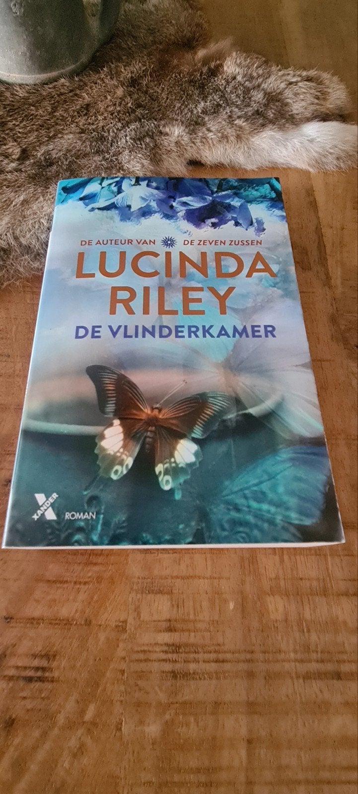 De Vlinderkamer - Lucinda Riley (Roman), Ophalen of Verzenden, Zo goed als nieuw, Lucinda Riley
