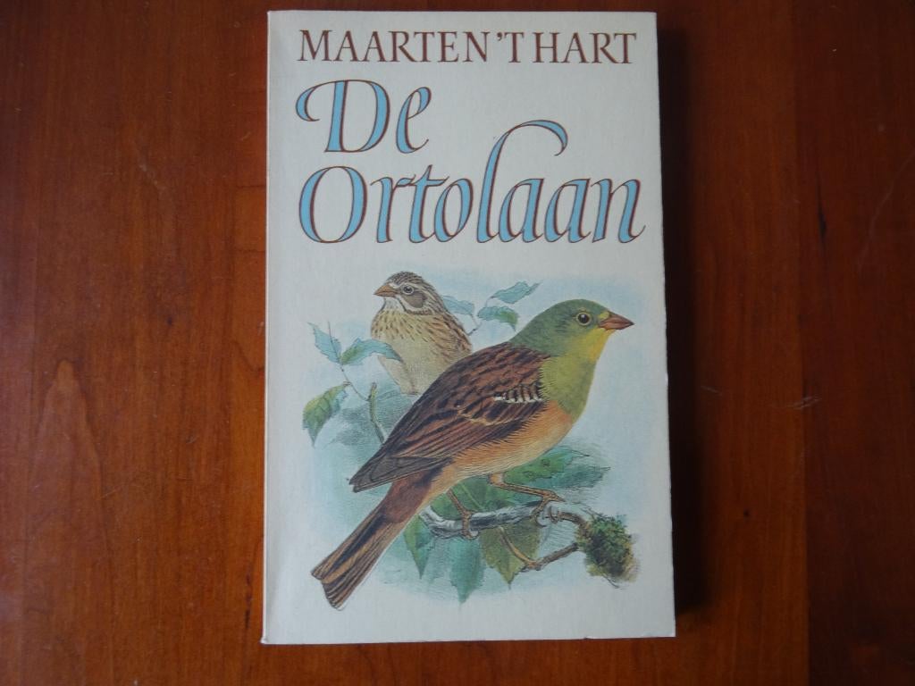 De Ortolaan - Maarten 't Hart, Ophalen of Verzenden, Zo goed als nieuw, Nederland, Maarten 't Hart