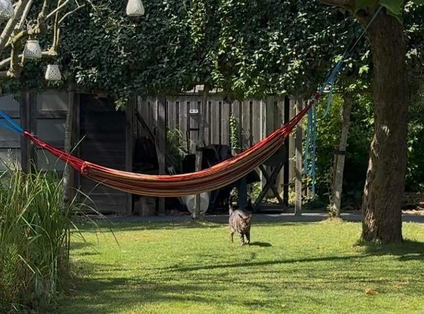 Grote hangmat voor ultieme ontspanning in de tuin, Opvouwbaar, Meerpersoons, Ophalen of Verzenden, Zo goed als nieuw