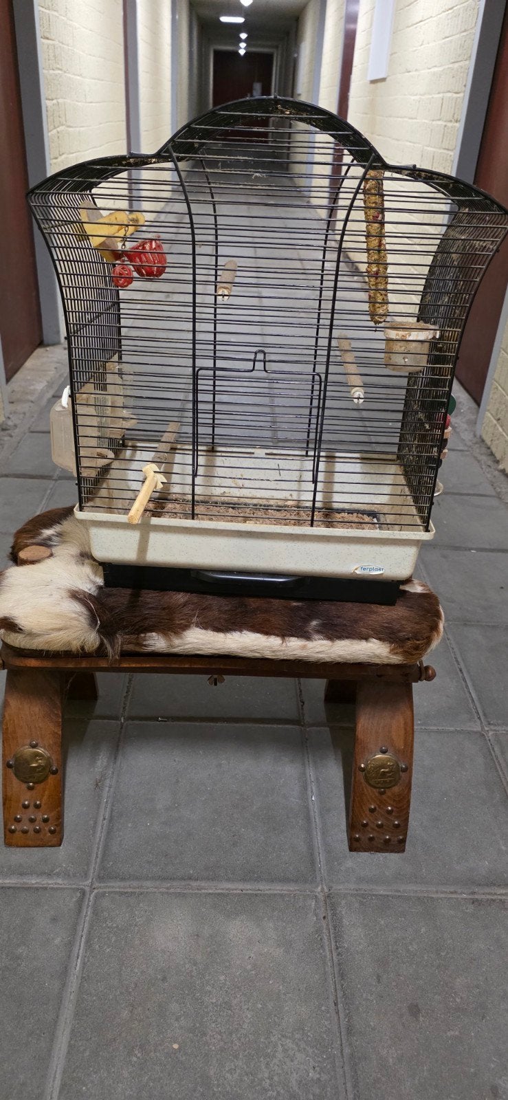 parkieten kooi, Dieren en Toebehoren, Ophalen, Zo goed als nieuw, Metaal, Vogelkooi