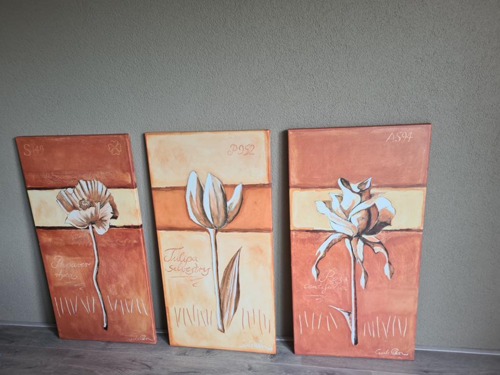 3 hele mooie canvas schilderijen mogen weg voor 20 euro., Ophalen