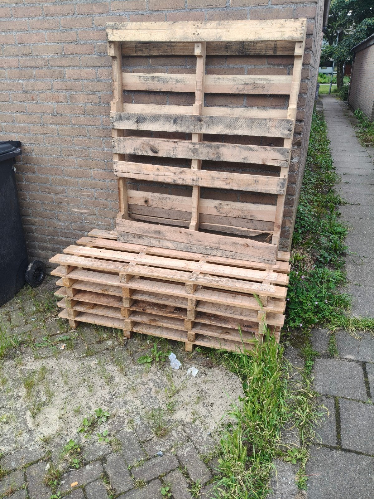 Gratis pallets ophalen, Ophalen, Overige houtsoorten, Minder dan 200 cm, Pallet