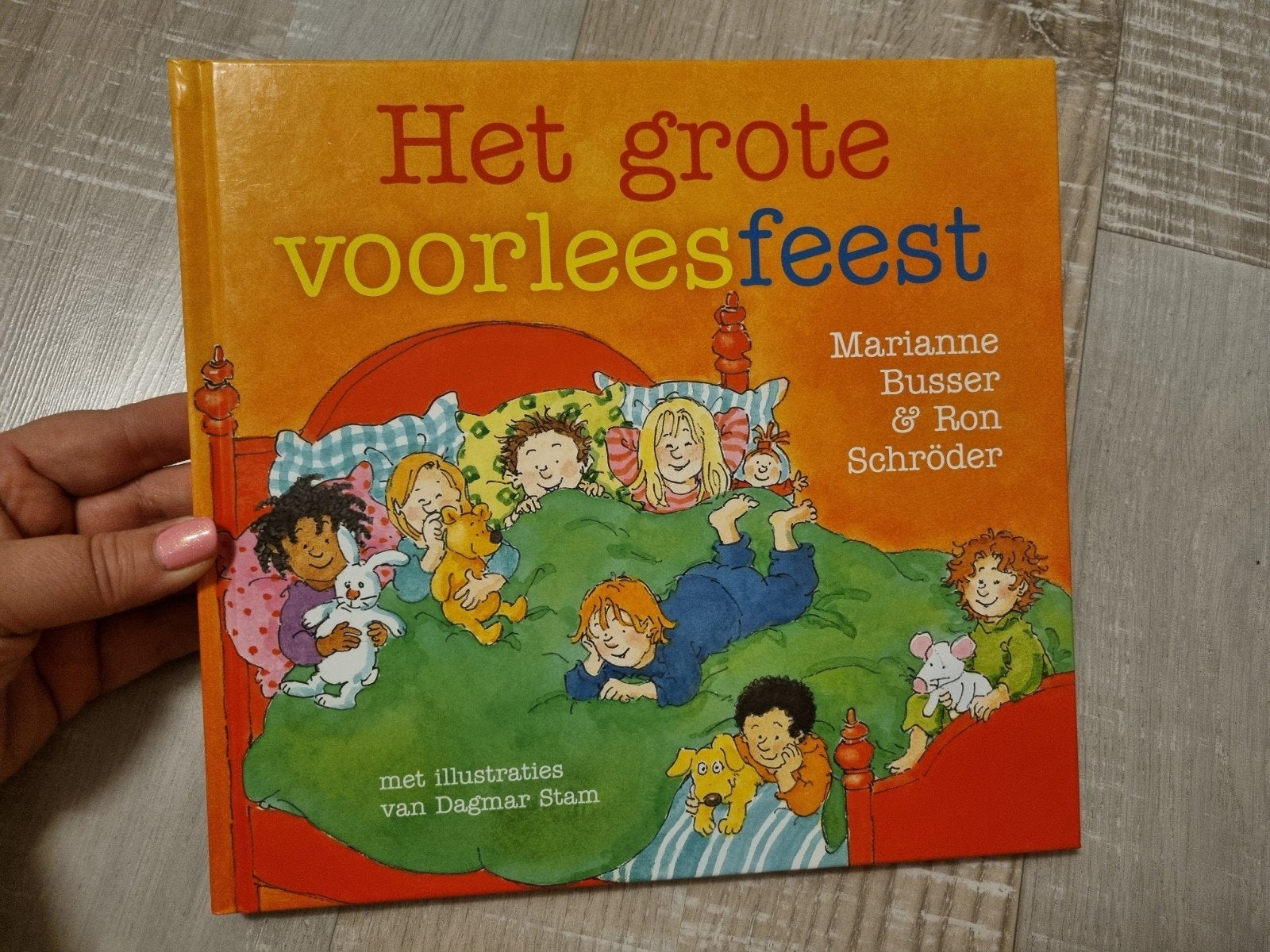 Het Grote Voorleesfeest - Marianne Busser en Ron Schröder, Boeken, Ophalen of Verzenden, Zo goed als nieuw, Marianne Busser en Ron Schröder
