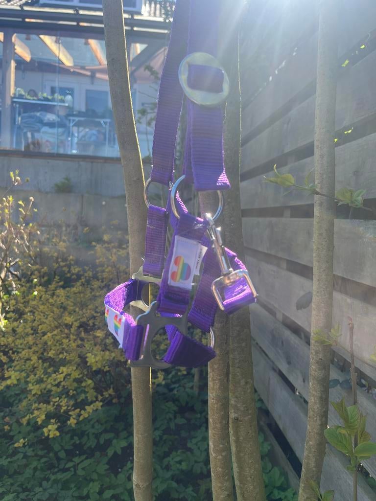 Mickey mouse halster, Dieren en Toebehoren, Ophalen of Verzenden, Nieuw, Overige soorten