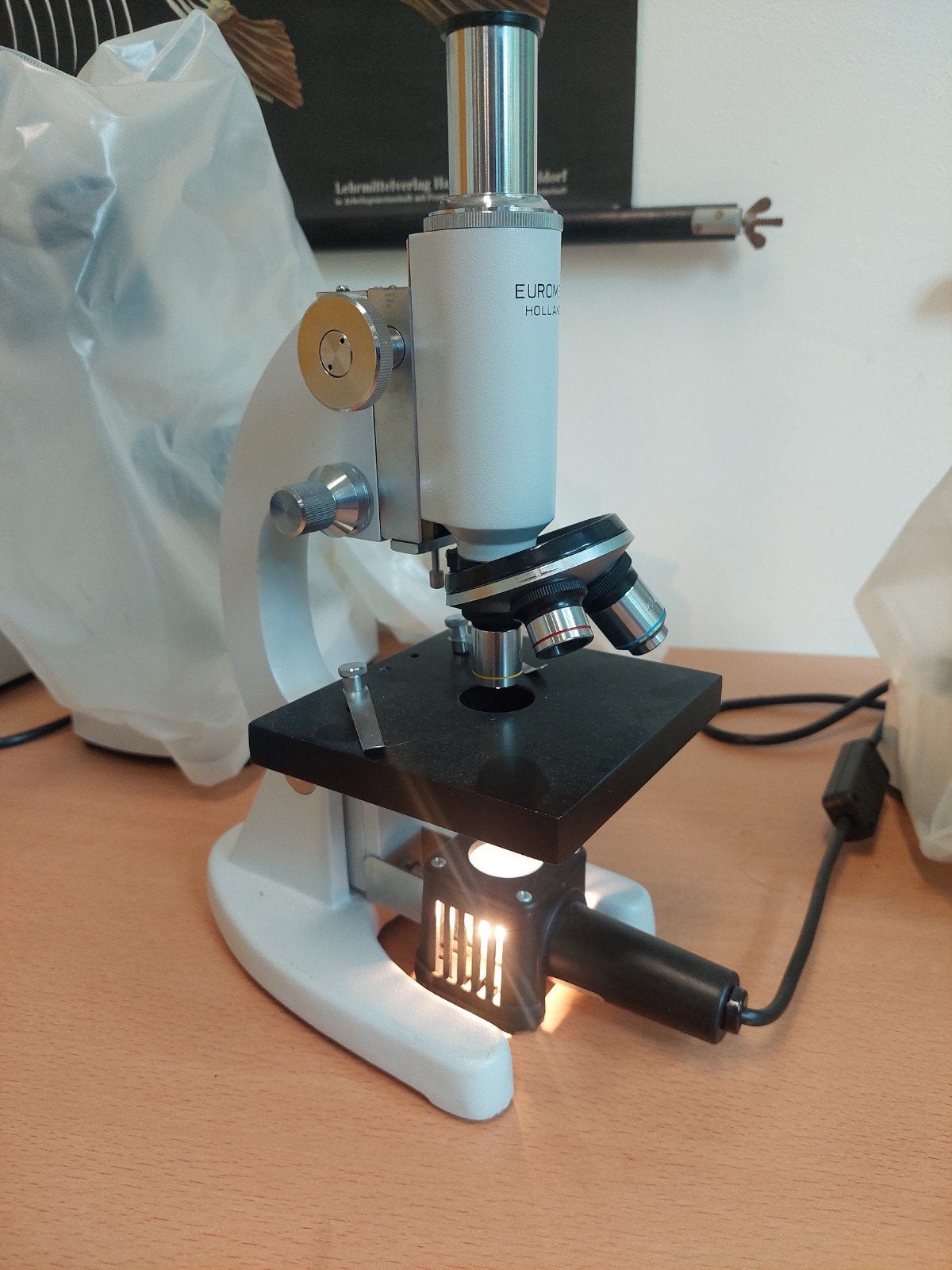 Euromex Biologische Microscoop (4 stuks), Ophalen, Gebruikt, 400x tot 1000x, Biologische microscoop