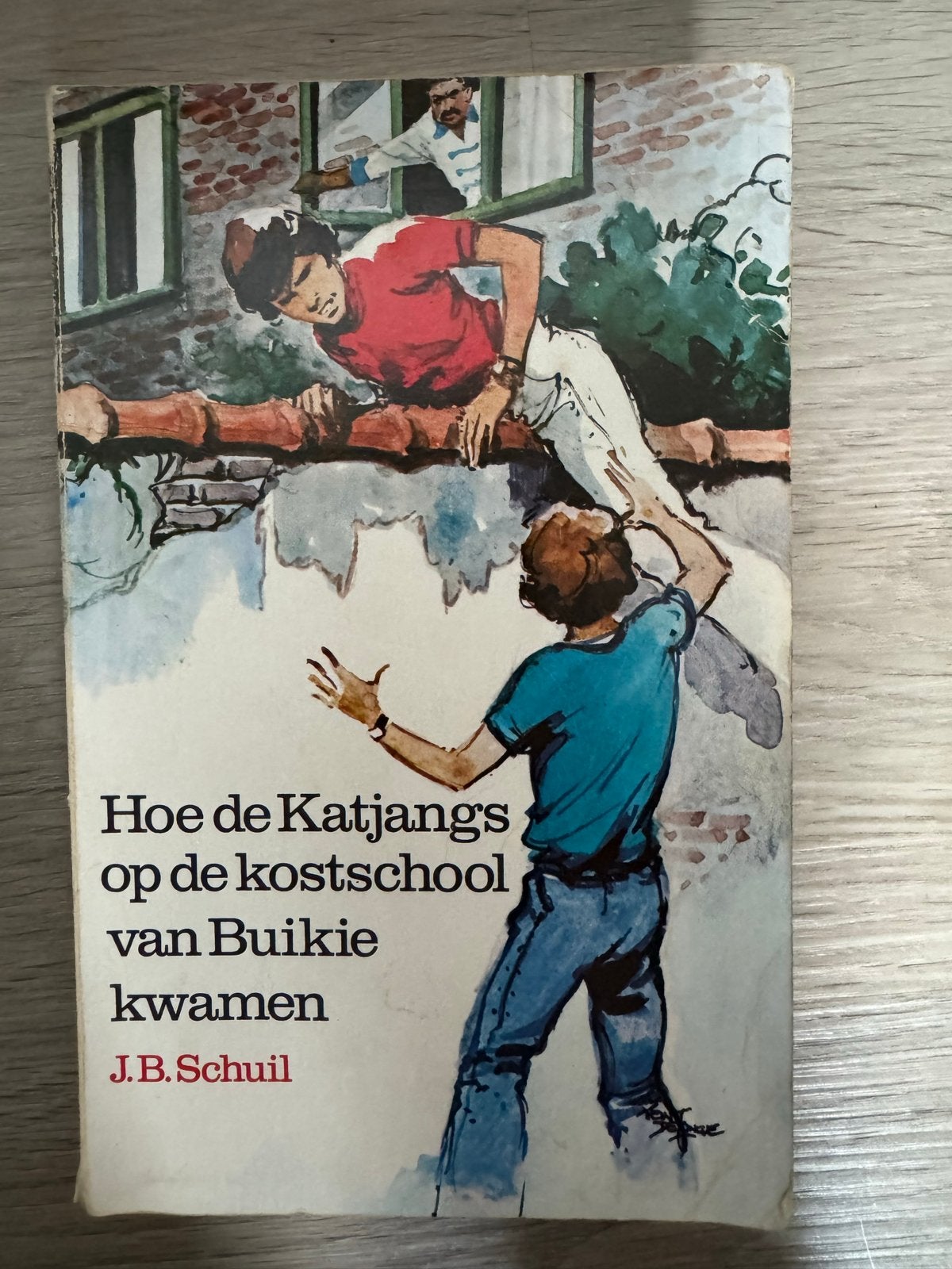 Hoe de Katjangs op de kostschool van Buikie kwamen, Boeken, Ophalen of Verzenden, Gelezen, Fictie algemeen