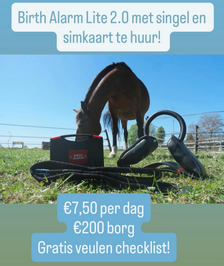 Birth Alarm huren, Dieren en Toebehoren, Ophalen of Verzenden, Nieuw, Overige soorten