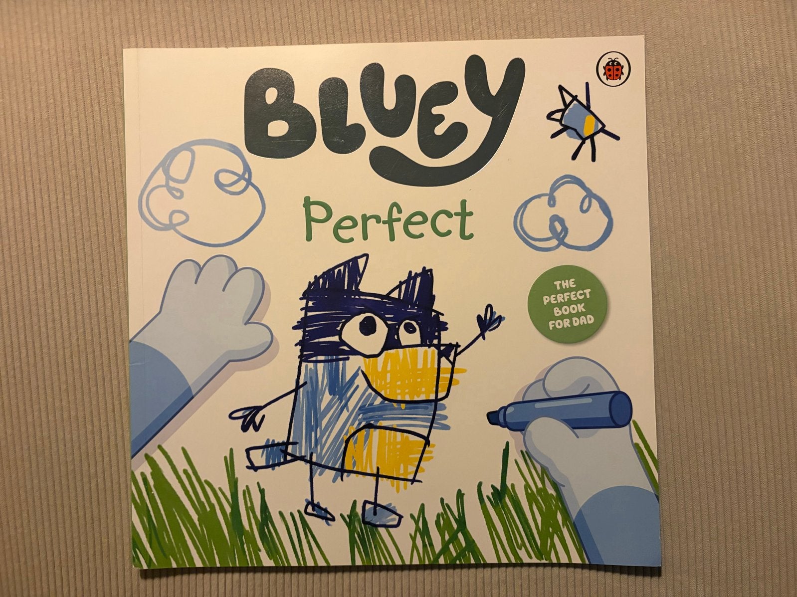 Bluey: the perfect book for dad, Ophalen of Verzenden, Zo goed als nieuw, 2 tot 3 jaar