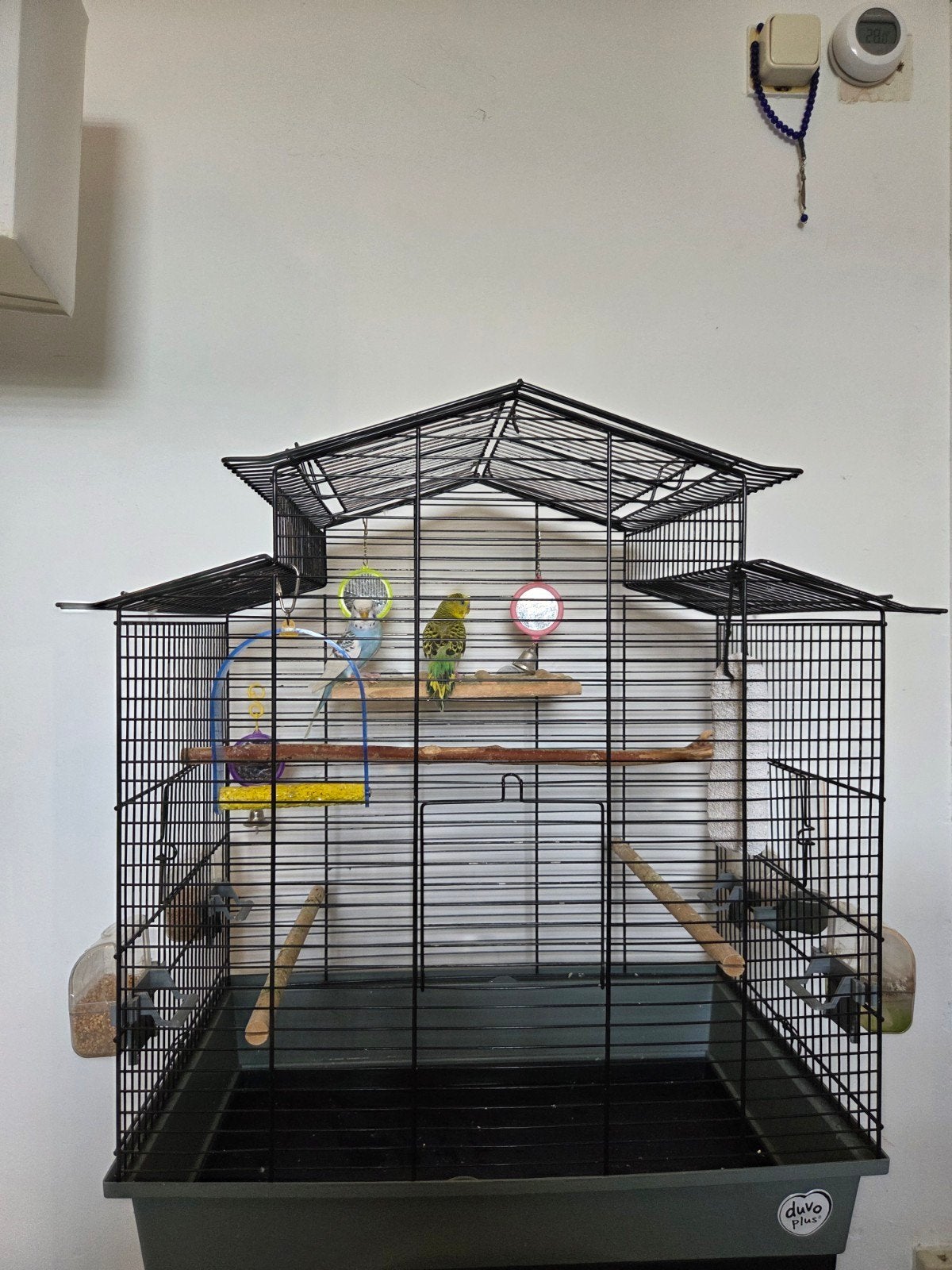 Parkiet papegaai, Ophalen of Verzenden, Zo goed als nieuw, Metaal, Vogelkooi