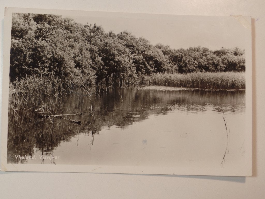 Vlieland 5, Ophalen of Verzenden, 1960 tot 1980, Gelopen, Waddeneilanden