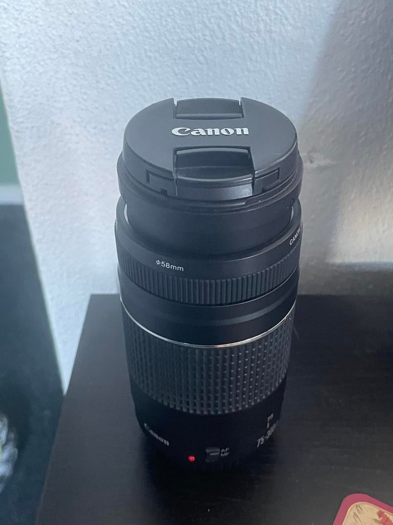 Canon 75-300mm EF lens, bijna nieuwstaat, Audio, Tv en Foto, Fotografie | Lenzen en Objectieven, Ophalen of Verzenden, Zo goed als nieuw