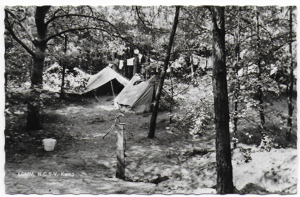 Lomm NCSV kamp Oude  Ongelopen Ansichtkaart  (B8246 ), Ophalen of Verzenden, 1960 tot 1980, Ongelopen