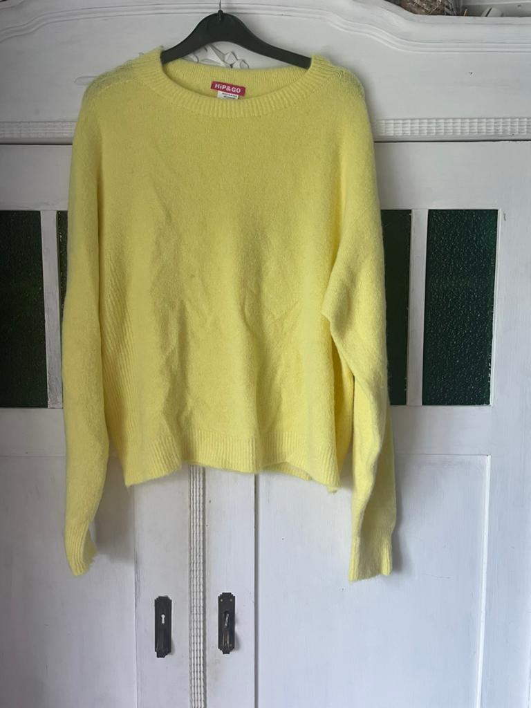 Alpaca zachte trui van Hip &Go, Kleding | Dames, Verzenden, Nieuw, Geel
