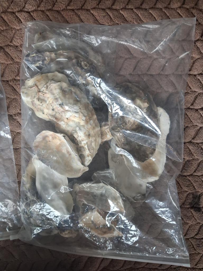 Diverse schelpen voor decoratie of knutselen, Verzenden, Gebruikt