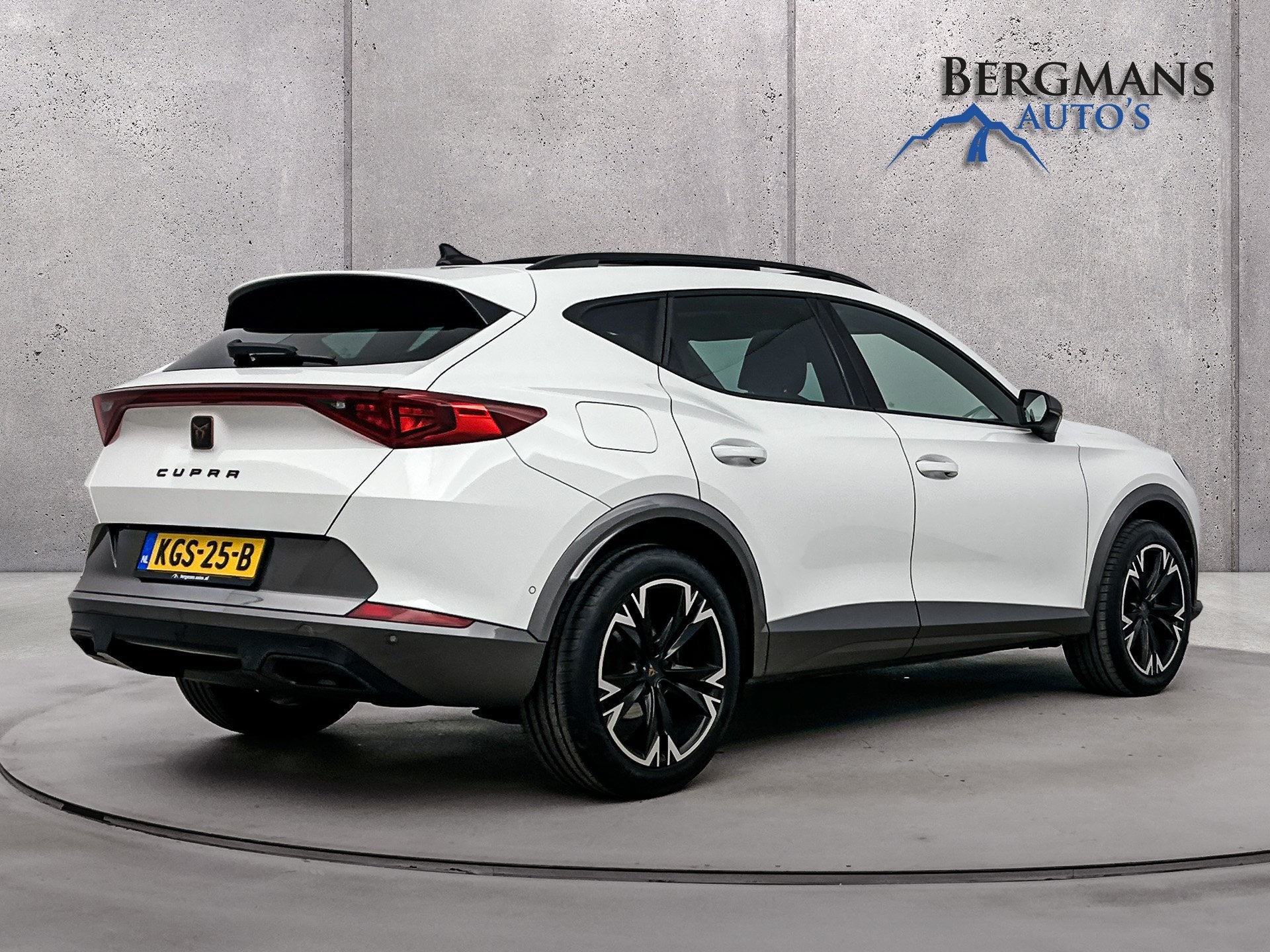 CUPRA Formentor // 1.5 TSI DSG // TREKHAAK // SCHUIFDAK // S, Auto's, Leder en Stof, Wit, Bedrijf, Automatische klimaatregeling