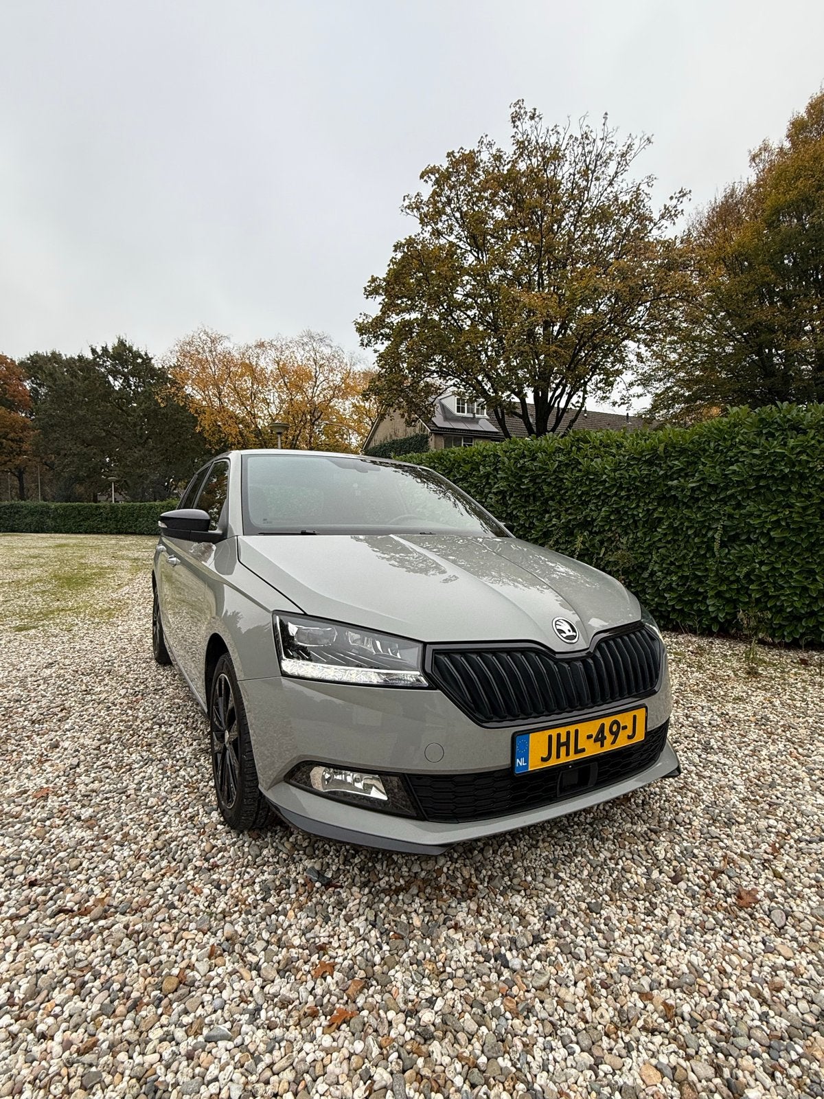 Skoda Fabia 1.0 TSI Greentech 95pk 2019 Grijs, Voorwielaandrijving, 95 pk, Handgeschakeld, Particulier