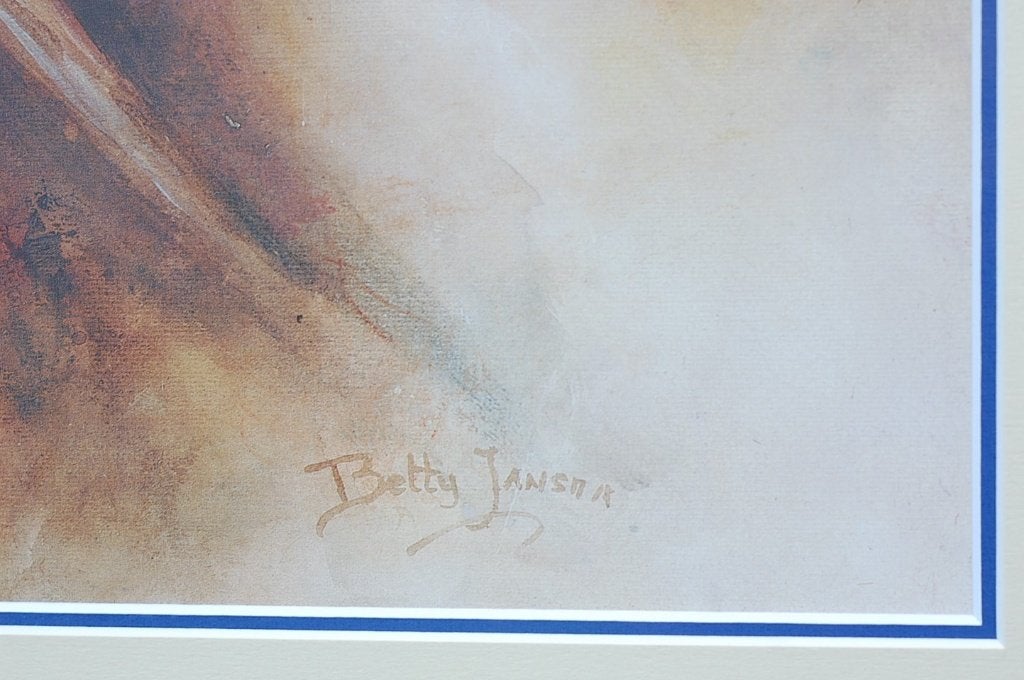 Inspiration - Witte Roos - Betty Jansma, Ophalen, Tweedehands, Tweedehands, Oorspronkelijke maker