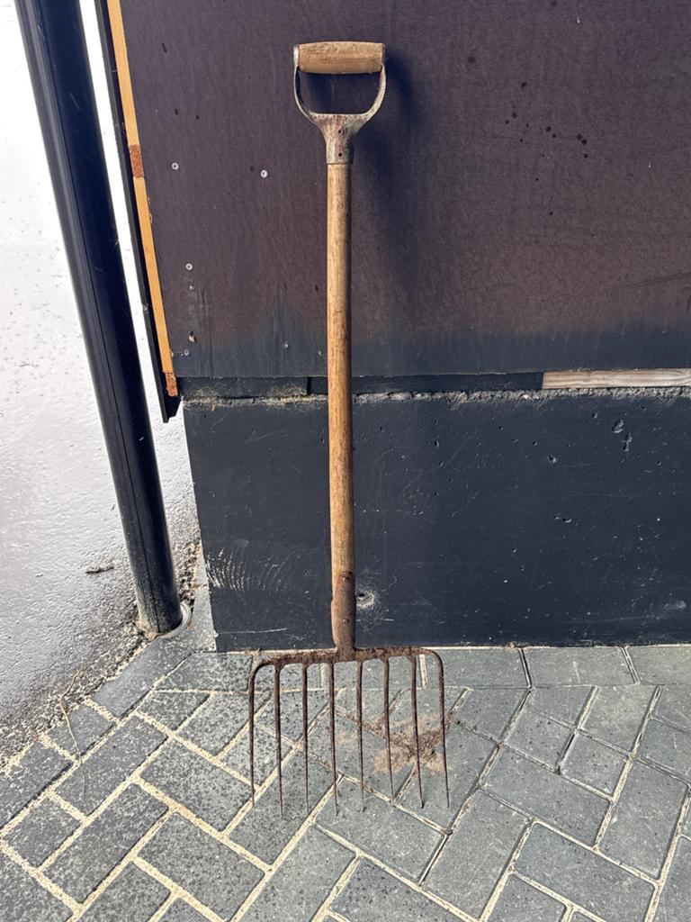 Oude roestige riek met houten steel, 8 tands., Ophalen, Gebruikt